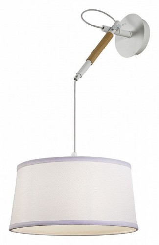 Подвесной светильник F-Promo Eureka 3005-1P