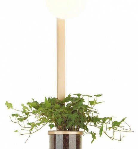 Настенный светильник Odeon Light Flower 4682/1WB