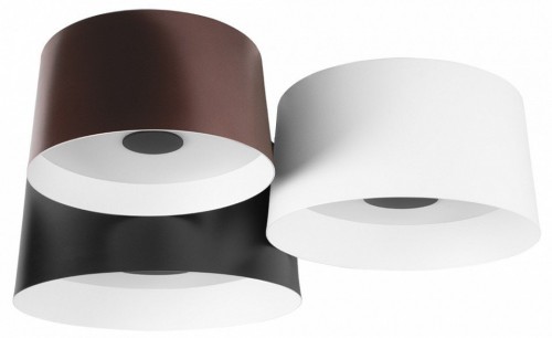 Потолочный светодиодный светильник Loft IT Duo 10360/3