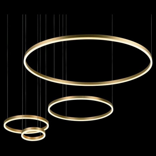 Подвесной светодиодный светильник Loft IT Ring 10017/4L