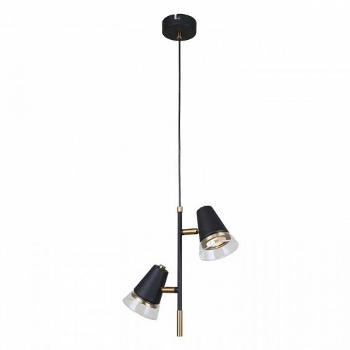 Подвесной светильник F-promo Trandy 4618-2P Подвесной светильник F-promo Trandy 4618-2P