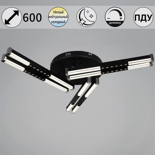 Потолочная люстра  24090-0.3-06 BK