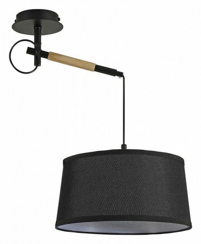 Подвесной светильник F-Promo Eureka 3006-1P