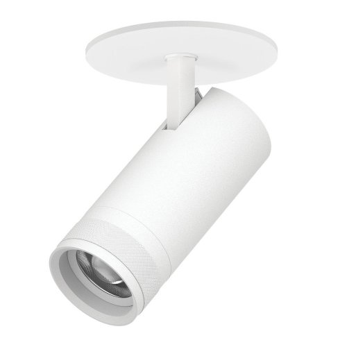 Спот Canno Pro C4206RS