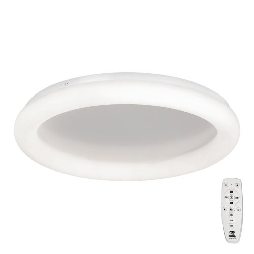 Потолочный светильник  V2539DT-0/1PL