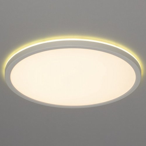 Настенно-потолочный светильник Basic Line CL738320EL
