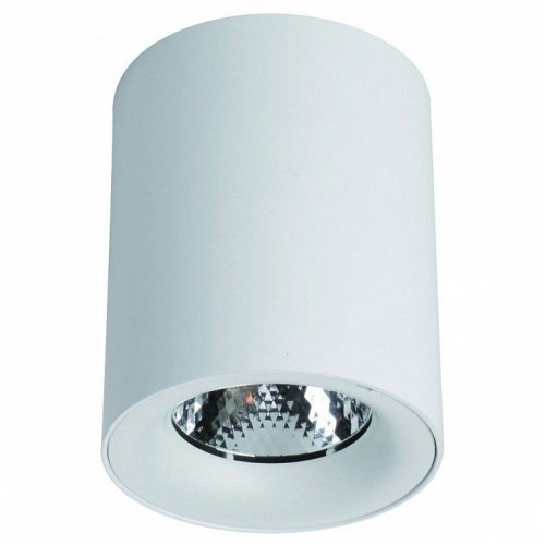 Потолочный светильник Arte Lamp Facile A5130PL-1WH Потолочный светильник Arte Lamp Facile A5130PL-1WH