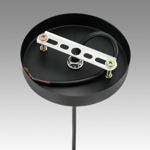 Подвесной светильник Lumion Elenika 8056/1А