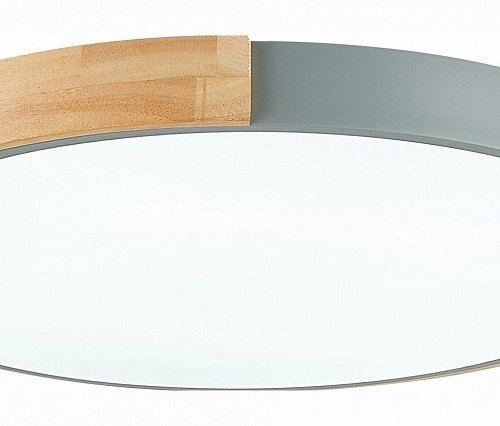 Потолочный светильник Evoluce Delia SLE201372-01