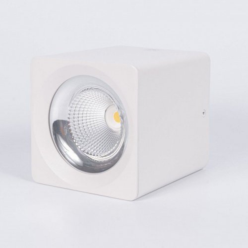 Накладной светильник Fiberli CH-SD220 12120101 Накладной светильник Fiberli CH-SD220 12120101