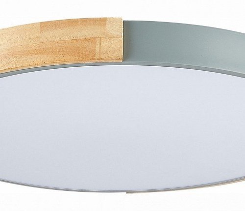 Потолочный светильник Evoluce Delia SLE201372-01