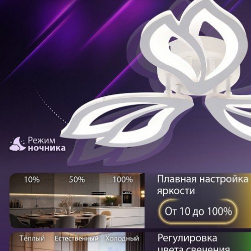 Потолочная люстра Fortuna LED LAMPS 81107/2C