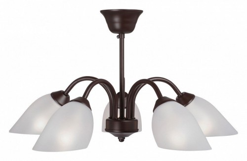 Потолочная люстра Vitaluce V3335-7/5PL