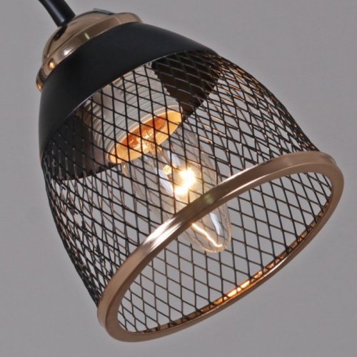 Потолочная люстра  01505-0.3-03 BK+FGD Потолочная люстра  01505-0.3-03 BK+FGD