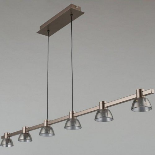 Подвесной светодиодный светильник Aployt Rezeda APL.788.03.06