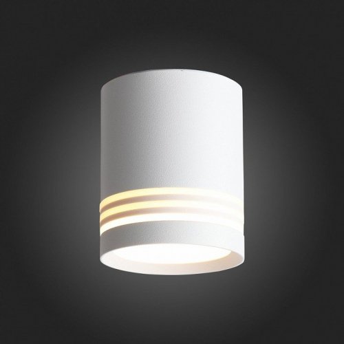 Точечный светильник ST Luce Cerione ST101.542.05