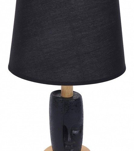 Интерьерная настольная лампа Visiona 8209/1T Интерьерная настольная лампа Visiona 8209/1T