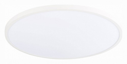 Настенно-потолочный светильник ST Luce St601 ST601.532.48
