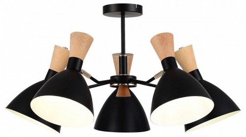 Люстра на штанге EVOLUCE VISTA SLE1256-402-05