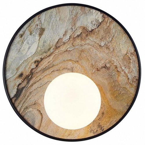 Накладной светильник Favourite Messier 4594-1W Накладной светильник Favourite Messier 4594-1W