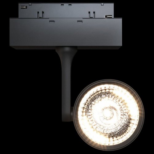Трековый светильник Track Lamps TR024-2-10B4K