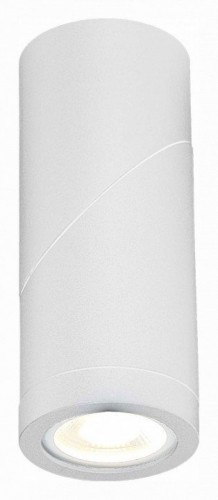 Спот ST Luce ST650.502.01