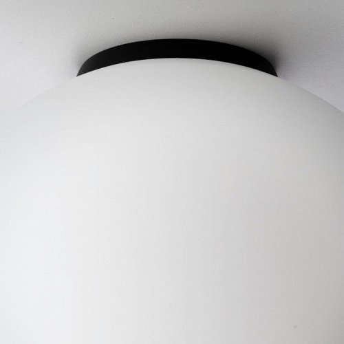 Настенно-потолочный светильник Citilux Ron CL941D25B5