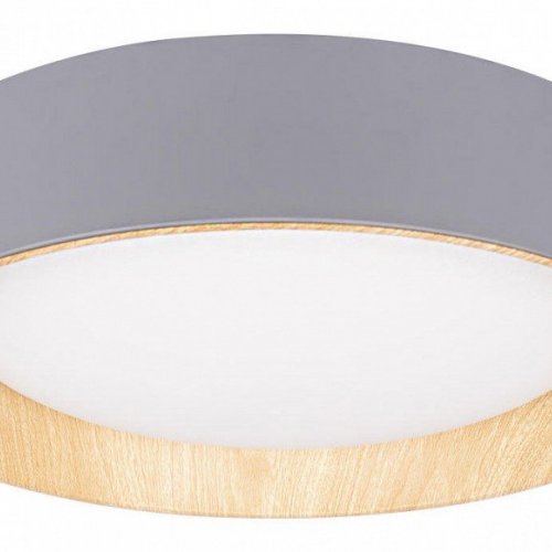 Потолочный светильник Loft IT Coin 10202 Grey