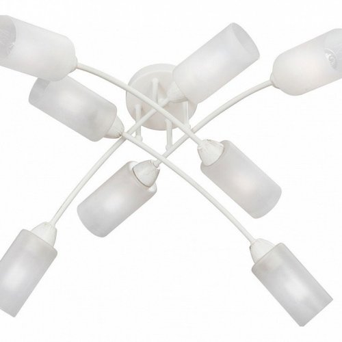 Потолочная люстра Vitaluce V4188-0/8PL Потолочная люстра Vitaluce V4188-0/8PL