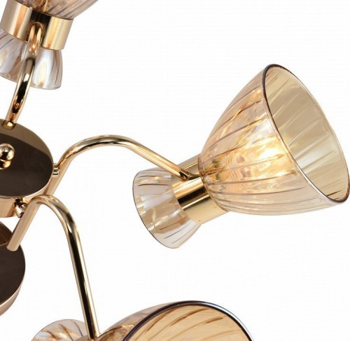 Люстра на штанге Rivoli Victoria 9183-305 Люстра на штанге Rivoli Victoria 9183-305