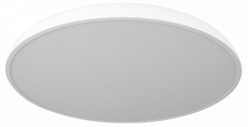 Потолочный светильник LOFT IT Dime 10371 White Потолочный светильник LOFT IT Dime 10371 White