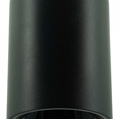 Накладной светильник LIGHTERA Shamrock LE201CL-1BA