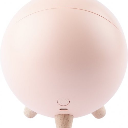 Ночник  NLED-468-1W-P