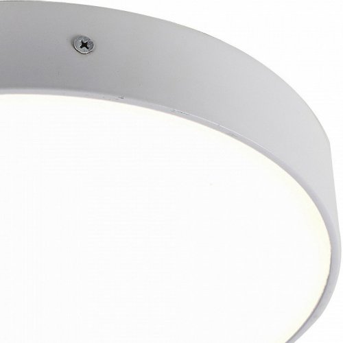 Потолочный светодиодный светильник Favourite Flashled 2065-30C