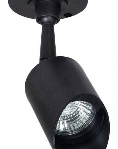 Прожектор уличный Arte Lamp Elsie A1022AL-1BK