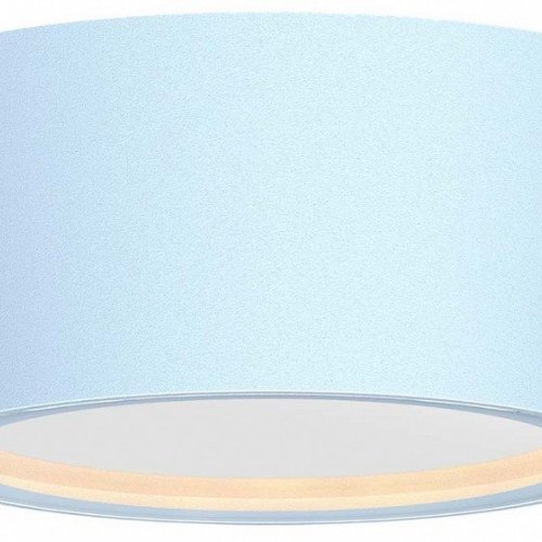 Накладной светильник Favourite Fantum 4676-1U