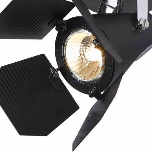 Настенно-потолочный светильник Arte Lamp Cinema A3092AP-1BK