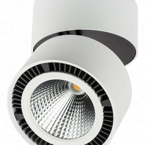 Точечный встраиваемый светильник Lightstar Zocco 213830