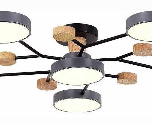 Потолочная люстра EVOLUCE Faema SLE6006-702-06