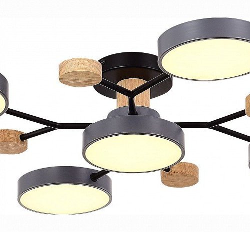 Потолочная люстра EVOLUCE Faema SLE6006-702-05