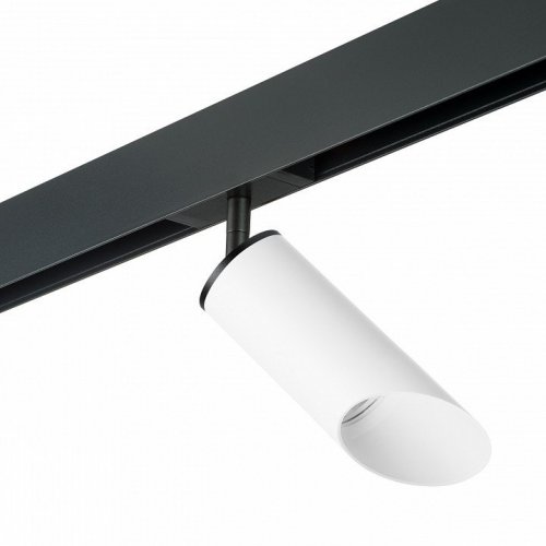 Светильник на штанге Lightstar Rullo PRO43636 Светильник на штанге Lightstar Rullo PRO43636