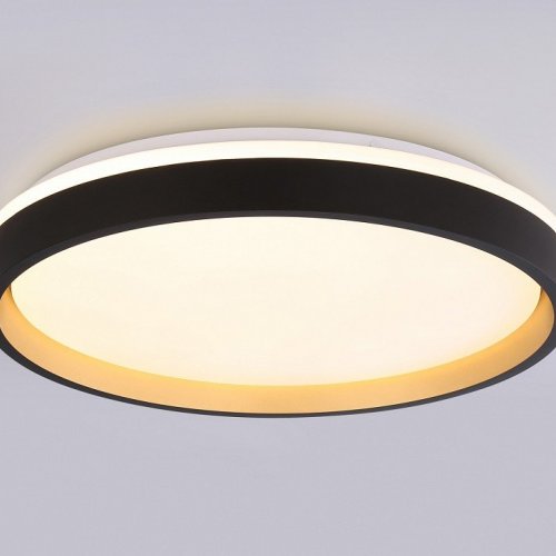 Накладной светильник Ambrella Light FZ FZ610