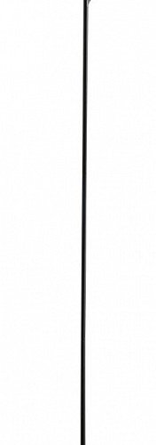 Торшер Divinare Sole 3234/06 PN-1