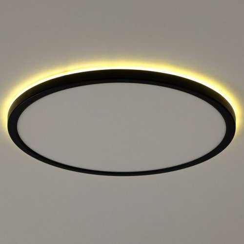 Настенно-потолочный светильник Citilux Basic Line CL738321EL