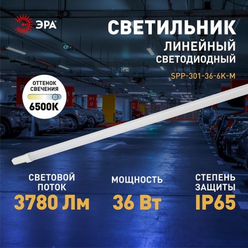 Настенно-потолочный светильник ЭРА SPP-3 SPP-301-36-6K-M Настенно-потолочный светильник ЭРА SPP-3 SPP-301-36-6K-M