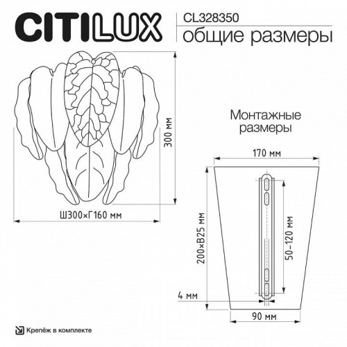 Накладной светильник Citilux HASIENDA CL328350