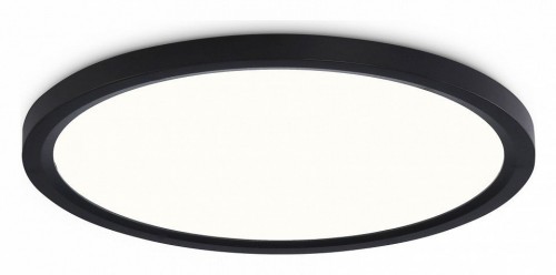 Накладной светильник Ambrella Light FZ FZ1910