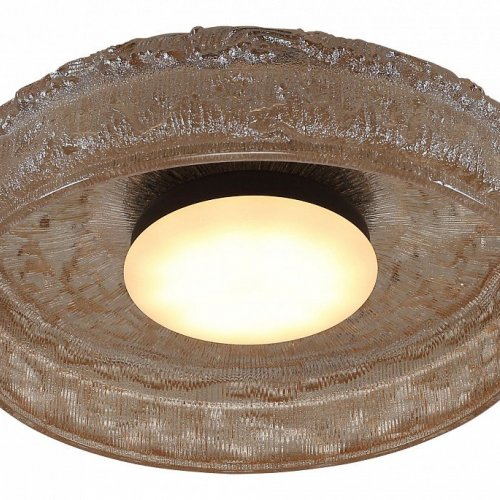 Накладной светильник ST-Luce ANTIKE SL6143.422.01