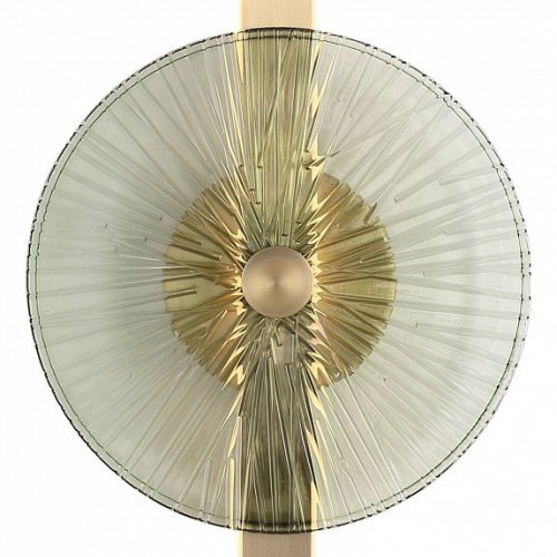 Накладной светильник ST-Luce WASI SL6141.321.01 Накладной светильник ST-Luce WASI SL6141.321.01