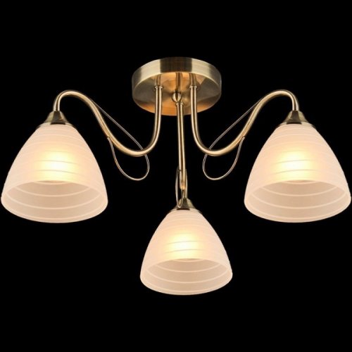 Потолочная люстра 03078-0.3-03 Потолочная люстра 03078-0.3-03